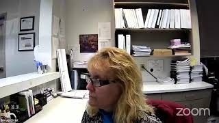 Zoning Board of Appeals Meeting - 2020-11-12