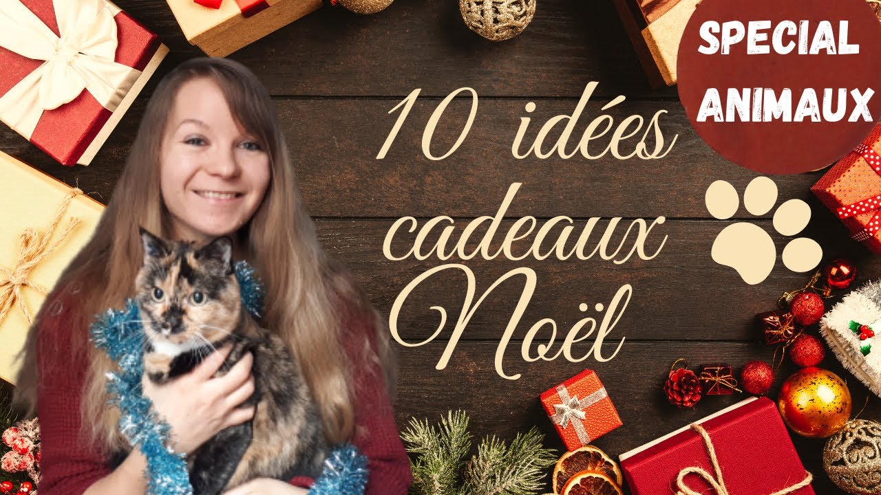 Top 5 des meilleures idées de cadeaux de Noël pour votre chat !