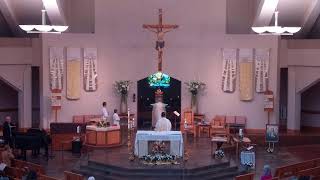 Daily Mass, 8:30 am, Wednesday, May 6, 2026 - St. Joseph's Church, Lincoln, CA
