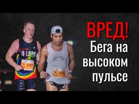 видео: Вред бега на высоком пульсе  Как научиться бегать на Низком Пульсе?