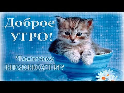 С Добрым утром🔆, Восход солнца🔆, Рассвет🔆, Красивая музыка🎶, Музыкальная открытка🎶