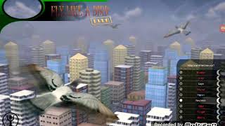 Fly like a Bird 3 Lite Vs Fly like a bird 3 YouTube
