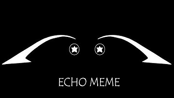 ECHO meme | FlipaClip animation | Happy my channel