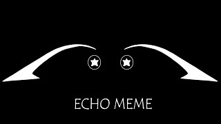 ECHO meme | FlipaClip animation | Happy my channel's birthday | ( Epilepsy warning )