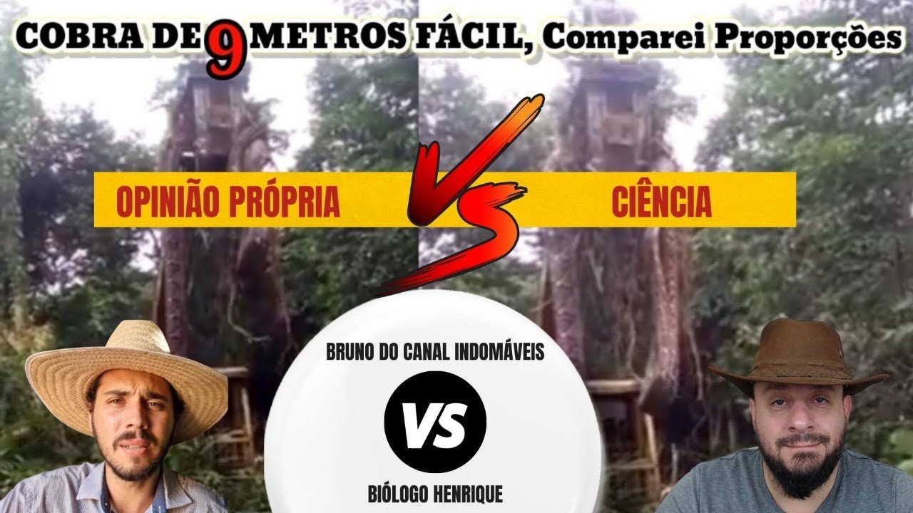 @Indomaveis  VS Biólogo Henrique | achismo VS Ciência : Sucuri de 15 metros