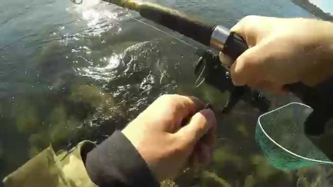 Oregon Jetty Fishing for Coho Salmon GoPro YouTube