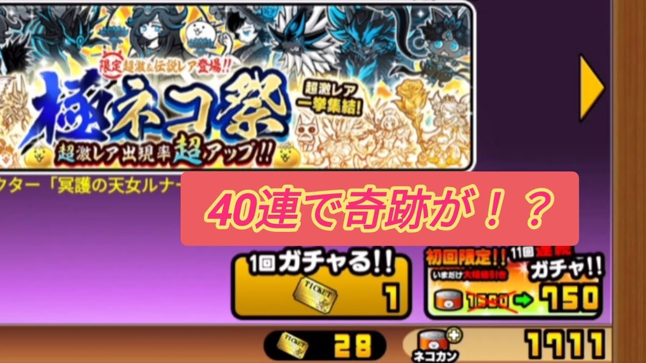 40連で極ねこ祭を回してみたら奇跡が起きた【にゃんこ大戦争】