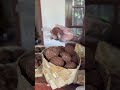 Pure village #karupatti #palmjaggery #healthylifestyle #trending #viral #tamilfood #natural #food