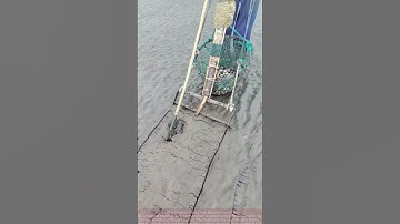 The Wisdom of the Working People — Ingenious Tools for Digging Clams and Other Seafood