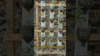 No Space? Turn Your Wall Into a FARM! 🤯🌱 घर की दीवार बनेगी FARM 😳 | Easy Vertical Farming home setup