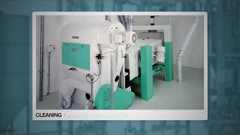 Maize Milling Process