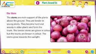 Class 4 Sem 1 EVS Chapter 8