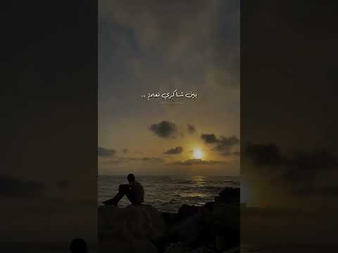 ليتها زرعت وردا لا سكاكين