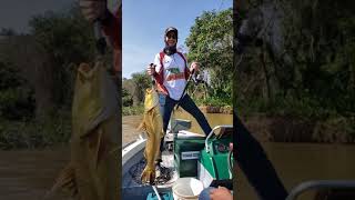 Felipe Pescando Jaú em Porto Jofre - Pescaria dos Amigos Lavro Fértil