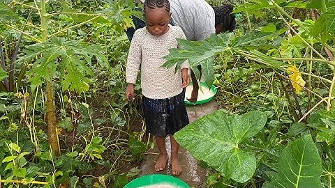 SNAIL FARMING MADE EASY: LEARN THE SECRETS TO STARTING A POFITABLE BACKYARD SNAIL FARM