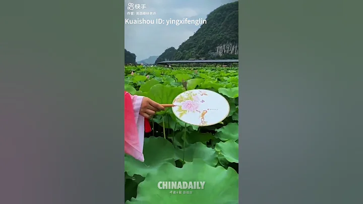 Visitors enjoy the lotus on a tram traveling through a lotus pond in Guangxi. - DayDayNews