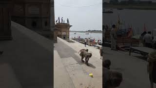 Monkeys #vrindavan