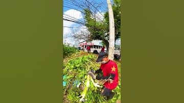 Protecting the environment is protecting your own health