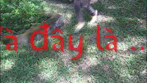 quang cao sunsilk 09KT1 hungvuonguniversity.wmv