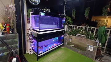 Ton อุทัย โครงการ 2 - งานระบบ Overflow Full Services ตู้ปลา 60" กรองข้าง 2 ชั้น พร้อมล้างและลงปลา :)