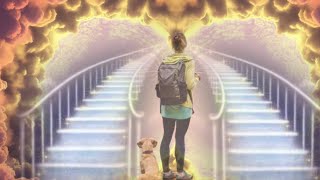 I Died And Saw Dogs In Heaven | Near Death Experience | NDE