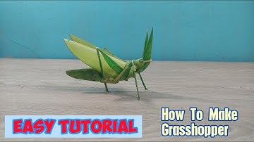 How To Make Grasshopper From Coconut Leaves || Easy Tutorial