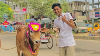 আলহামদুলিল্লাহ গরু কিনে ফেললাম | ALFEZ SAJID | Bhai Koto Nilo | I Bought a cow | Vlog 2022