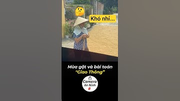 Mùa gặt và bài toán giao thông... #cameragiaothong #giaothong #antoangiaothong