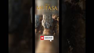 The foreshadowing in Mufasa if WILD #thelionking #disney #mufasa #shocking #emotional