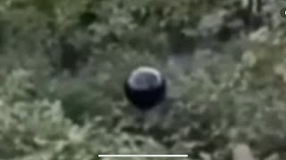 Alien/ET Shadow Attacks? ET Drone Scares? WTF Is Happening?!? #uap #disclosure
Dr J Radio Live.
Watch this channel for EXCLUSIVE YouTube interviews & UFO/UAP Footage & more!
🌟https://instagram.com/drjradiolive2/
🌟MINDS : http://www.minds.com/drjradiolive
🌟PATREON : https://www.patreon.com/user/drjradiolive
Want to PayPal me? Send to Maria.hrountas.ilias@gmail.com or @ROAM
Want to mail me something? Send to:
John ilias
9512 Whitaker Ave
Northridge CA 91343
Also, it is Dr J & Dr J alone who reads and responds to the comments. If you have something to say comments in the video and he will respond directly. Alien/ET Shadow Attacks? ET Drone Scares? WTF Is Happening?!? #uap #disclosure