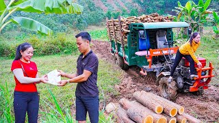 Download Lagu 365 Days Selling Old Truck \u0026 Buying a New One | Transporting Firewood More Efficiently MP3 Download Lagu 365 Days Selling Old Truck \u0026 Buying a New One | Transporting Firewood More Efficiently MP3