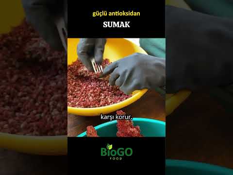 Güçlü antioksidan SUMAK