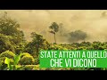 Foresta Amazzonica: quello che non vi dicono