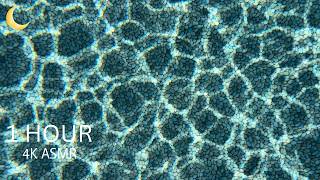 1 Hour Underwater Pool Shimmer • Turquoise Caustics for Sleep & Study ✨