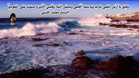 تلاوة مميزة من سورة هود💜 بأروع الأصوات للقراء الشيخ طه الصفطى💚 الشيخ محمد الليثى💙 الشيخ حجاج هنداوى💛
