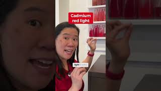 This Red is Great for Painting Flesh Tones, Materials Lab at the RISD Library