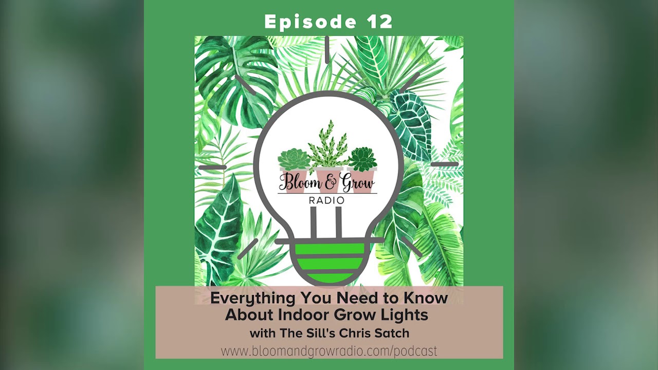 Everything You Need to Know about Indoor Grow Lights YouTube