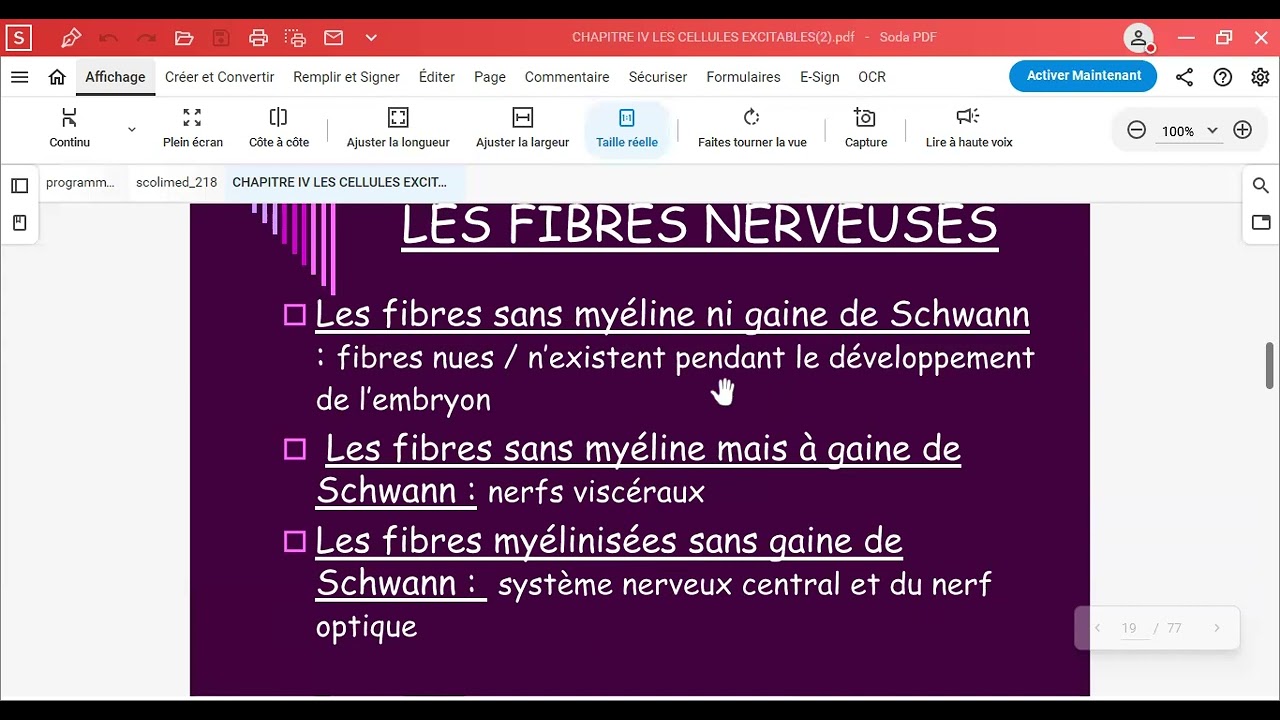 Cours neuro physiologie: les cellules excitables .#médecine #neuroscience #résidanat