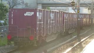 JR貨物 EF65-2067号機(新鶴見)+コキ17両 貨物列車74レ 2024.09.14(尼崎駅発車)