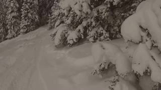 Vail WoW Trees and Pow