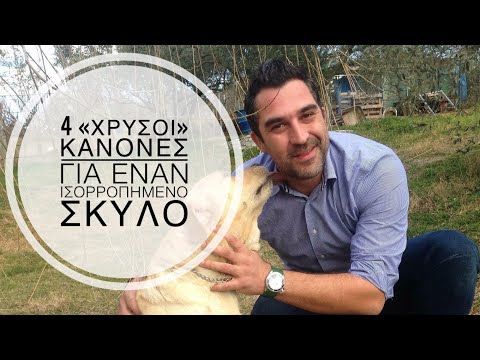 Βίντεο: Πώς να δροσίσει γρήγορα το σκυλί σας κάτω