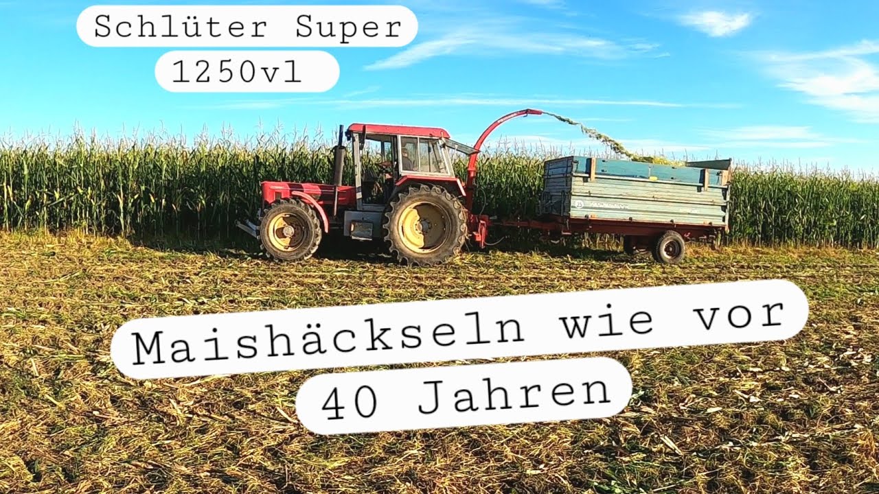 Maishäckseln mit dem Einreiher | Schlüter Super 1250vl | RestleAgrar