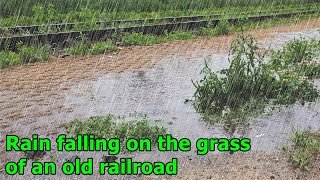 Rain falling on the grass of an old railroad █ ASMR for deep sleep and meditation