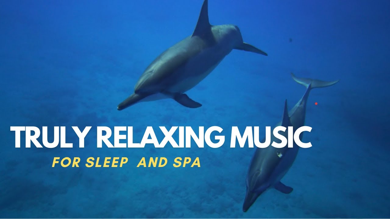 The best truly relaxing music in the world. Soul of dolphins