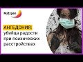 ► АНГЕДОНИЯ – УБИЙЦА РАДОСТИ ПРИ ШИЗОФРЕНИИ, ХРОНИЧЕСКОЙ ДЕПРЕССИИ И ДРУГИХ РАССТРОЙСТВАХ? | Мацпен