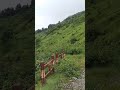 #trending #viral #shorts #reels #shortsfeed #motivation #mountains