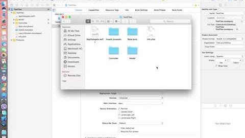 Best way to manage files in Xcode (the right way)