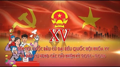 Luật bầu cử Quốc hội và HĐND các cấp - Số 2