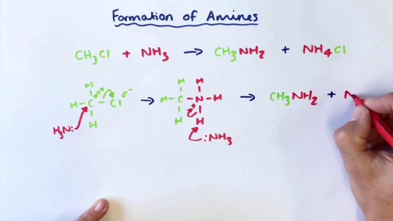 Formation of Amines