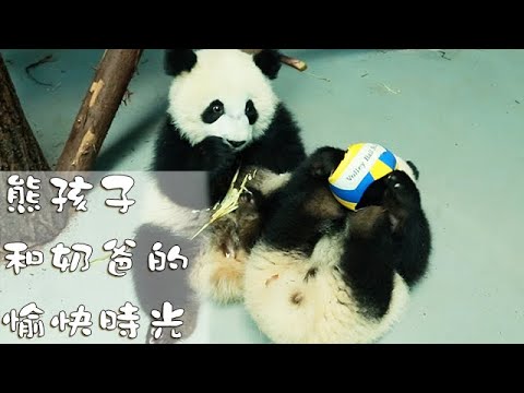 熊孩子和奶爸的愉快時光 | iPanda熊貓頻道